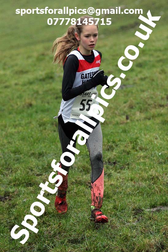 Girls under-15s, NECAA Junior Cross Country Relays, Thornley Farm, Peterlee, Saturday, December 12th. Photo: David T. Hewitson/Sports for All Pics